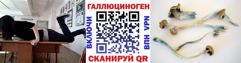 Псилоцибиновые грибы мицелий  купить  сайты  Ардатов 